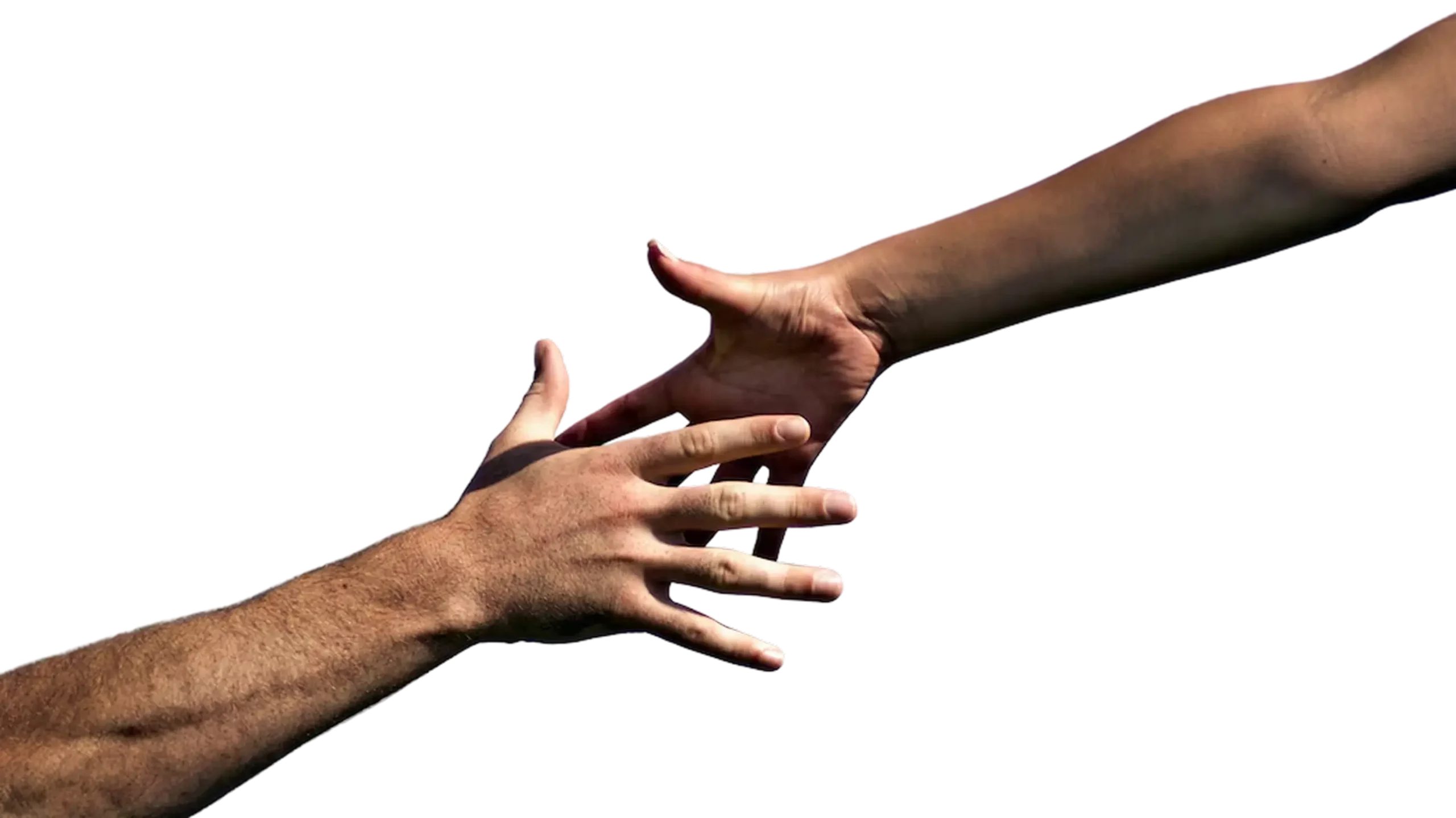 hands